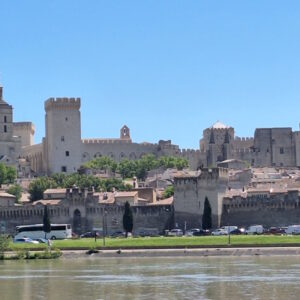Avignon Full Day Tour 7h